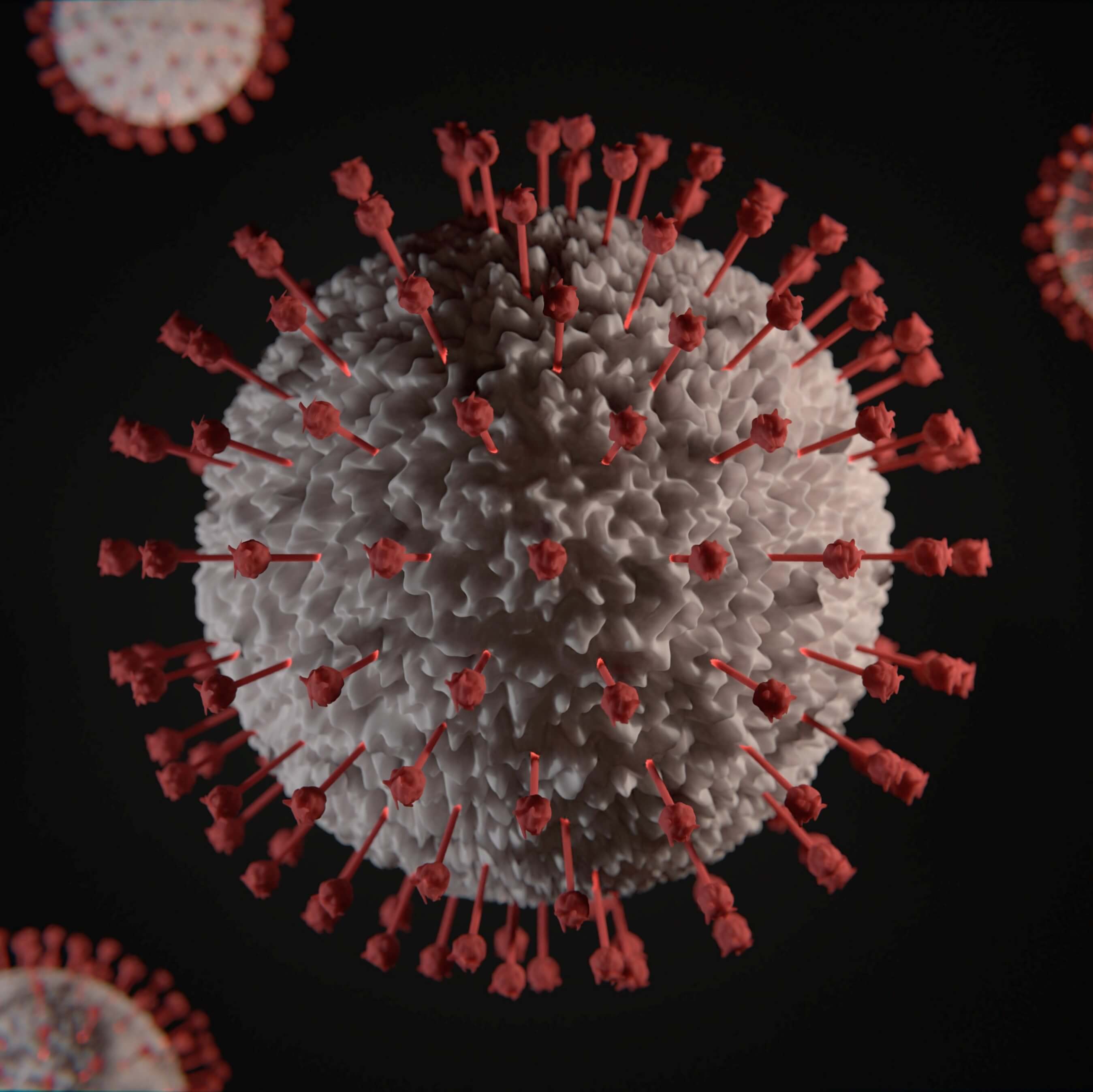 What Does a PCR Test Result Look Like?