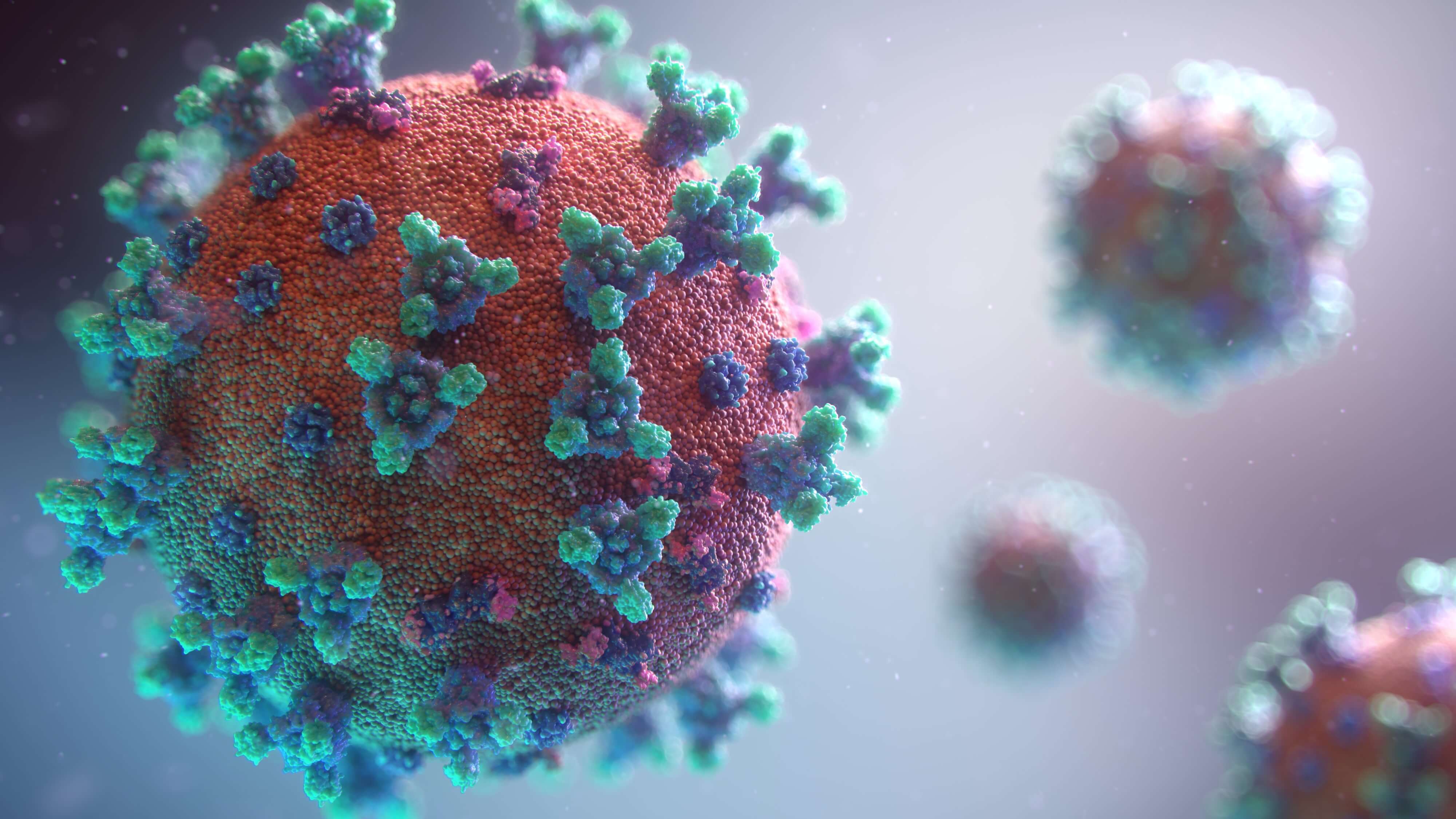 SARS-COV-2 Antigen Test Instructions