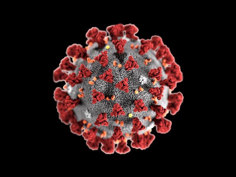 Current Covid-19 Infection Rate in the UK